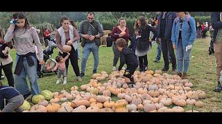 Dia da Abóbora na Quinta do Agricultor Freguesia da Relva Ponta Delgada Ilha de São Miguel Açores