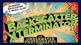 Erin Quigley Introduces Backscatter Xterminator software