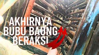 Bubu Baung dan Bubu Udang Galah."HASIL PADU" @mrsamr3022 #vlog62 #unlimitedhobby #unlimitedfishing