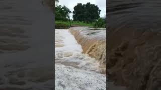 Show da natureza a Piracema