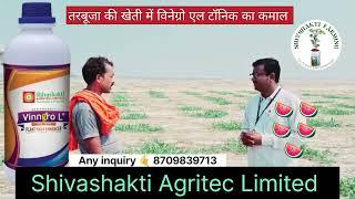  Vinngro L || The magic of Vinngro L tonic in watermelon cultivation | Shivshakti Agritech Limit...