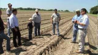 Louisiana Sugarcane Farmer - America's Heartland