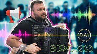 BORKO RADIVOJEVIC - ZVUCNI UDAR 