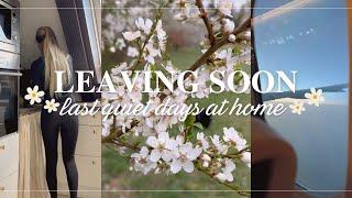 Preparing for Our Dream Trip  | Packing, Decorating & Quiet Moments 