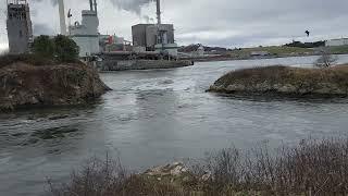 Bay of Fundy  incoming tide creates awe inspiring reverse falls/rapids, whirlpools. Saint John, NB.