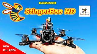 The StingerBee FPV Drone is perfect for Everyone! - Review - Newbeedrone