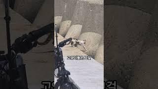 낚시터에서 우연히 알게 된, 작고 따뜻한 진실?!