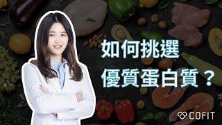 健身人注意！如何挑選優質蛋白質？｜Cofit 吳欣陵營養師