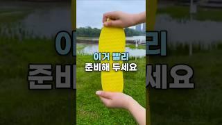이거 빨리 준비해 두세요 #장마철 #방수커버 #꿀템