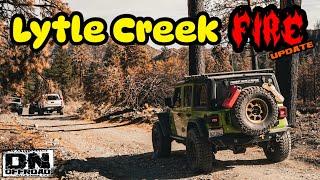 Lytle Creek Devastated by Recent Fire Season! Trail Update, January 2025