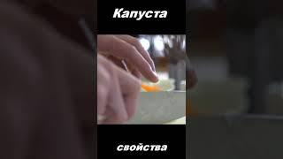 Капуста, овощ, питательные вещества #shorts