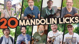 20 Mandolin Licks the PROS Use