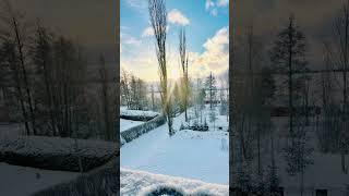 #homeview # outofmywindow Chasing sunshine on a crisp winter day_pure bliss
