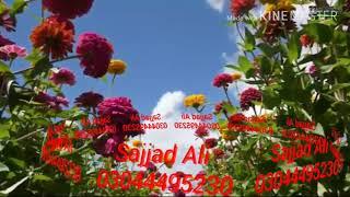 Yaad he hamin apne sab k sab gunaah..by sajjad ali abro
