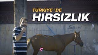 TÜRKİYE'DE HIRSIZLIK