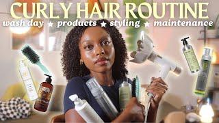 The PERFECT Curly Hair Routine | wash day, styling, products + maintenance