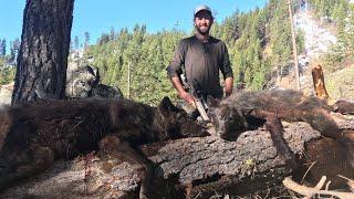 2 BLACK WOLVES DOWN!!! - Idaho Wolf Hunting -  The Balance FINALE - Limitless 66