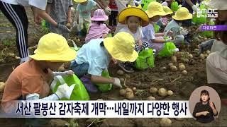 서산 팔봉산 감자축제 개막..내일까지 다양한 행사/대전MBC