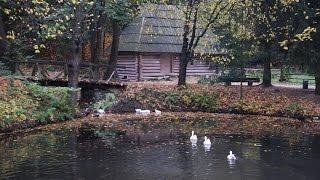 Львів.Музей народної архітектури та побуту.Lviv. Museum of Folk Architecture and Life.