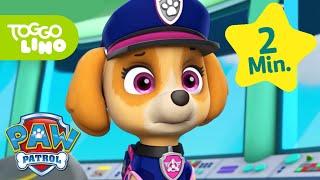 PAW Patrol Deutsch | Königliche Rettungsaktion | Helfer auf vier Pfoten | Toggolino Serien