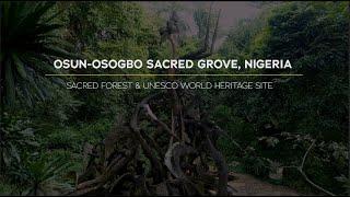 Documenting Nigeria's Osun-Osogbo Sacred Grove