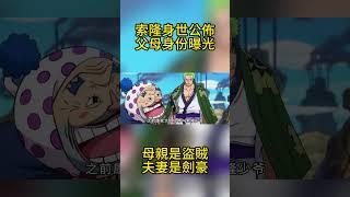 Pirate King: The Mystery of Zoro's Origin Unveiled! His mother was a thief  and his father was a sw