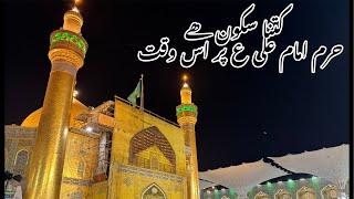 Kitna sakon Hai haram imam Ali as me is waqt mashallah live Najaf with Shakir Ali Najafi