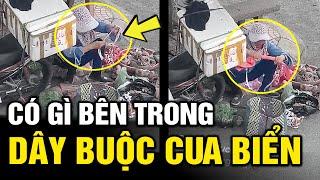 Cận cảnh pha BUỘC CUA BIỂN 1 vốn 4 lời ai xem cũng hài lòng | Hài tin việt  | Tô Tin Tức