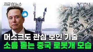 속도에 맷집까지 갖춘 '비밀병기'...中 로봇개, 머스크도 관심 [지금이뉴스] / YTN