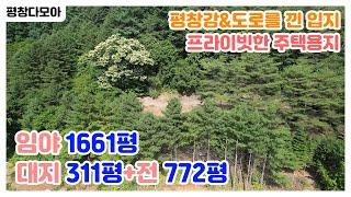 강과 도로를 낀 소나무 숲 속 주택지! 대지 311평+전 772평+임야 1661평, 총 2744평의 접근성 좋은 자연의 토지매물을 소개합니다!