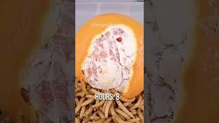 10 000 Mealworms vs. ORANGE