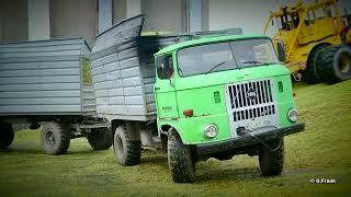 IFA W50 / K700 Maissilage Häckseln Budissa AG Teil 1