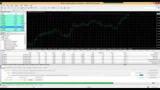 MACD Trade up Back Test with GBP JPY EUR USD EURJPY Expert Advisor mt4