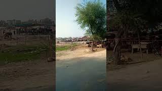 Bakra Mandi ll Abdul Samad 777ll #shorts #short