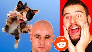 Los Mejores Videos Graciosos | Videos Que Encontré En Reddit #5