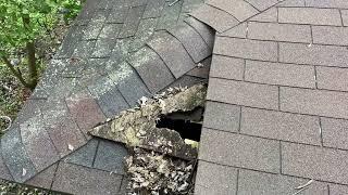 $199 Residential Roof Tune-Up in Kalamazoo, Michigan with Character Exteriors