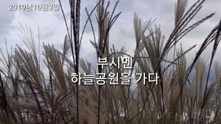 하늘공원,억새,핑크뮬리,  윤병현