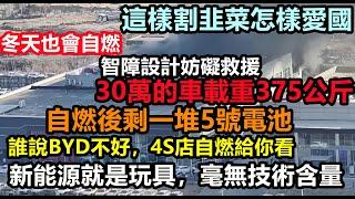 比亞迪智商稅太重了，就是一堆5號電池的玩具，韭菜不買賬！每款車都卡在最低標準！售價30萬的車限載375KG，核心技術僅剩吹牛||車企黑材料|車企不為人知的事件|#大陸造車#未公開的中國#新能源#byd