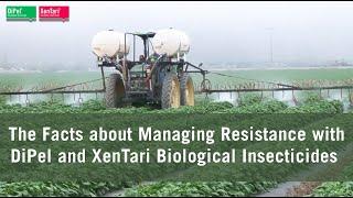 The Facts about Managing Resistance with DiPel and XenTari Biological Insecticides