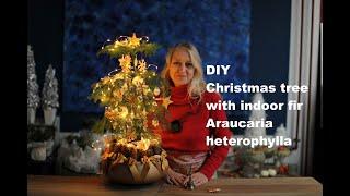 #diezürcherin #diy Christmas tree with indoor fir #floristry #floraldesign #english