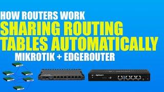 05. Sharing Routing Tables | How Routers Work | CCNA & Network+ Concepts