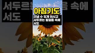 아침기도 / 아침의 기도 / 오늘의 기도 / 은혜의 기도