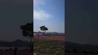 순천만 가야 정원에서