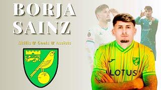 Borja Sainz  welcome to Norwich City FC ️ Skills & Goals & Assists