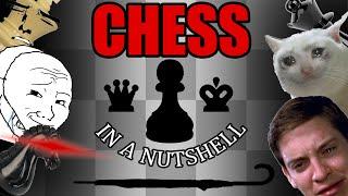 The CHESS Ex(pain)ience