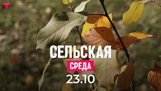 Сельская среда | 23.10.2024