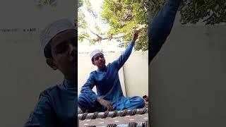 Subah se sham tak lab pay Rahe na Narayan Haider ya Ali ya Ali ghulam Mustafa qadri special video