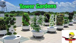 Tower Gardens Part 1