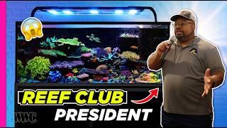 Mastering the Art of Reefkeeping: Tips from a Reef Club President | 250 Gallon Tank