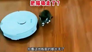 【笑亿天】扫地机把我的猫吸走了